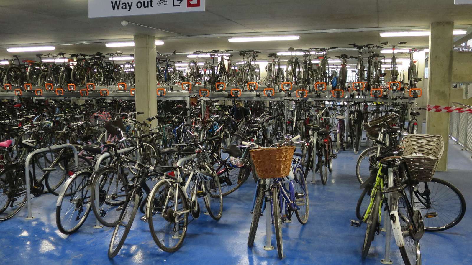 Rows of bicycles in a two-tier cycle park by Cambridge railway station
